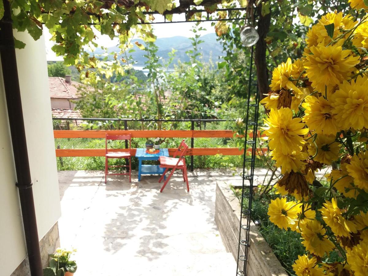 Mihaela Lake Retreat Gnyazdovo Exterior photo